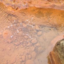 そこからプクプクと高音の源泉が湧く。