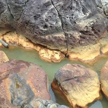 こういう湯溜まりにも入れる。