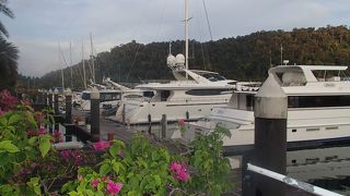 クルーザーや海を眺めながらの食事で開放感満点！