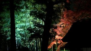 夜のライトアップがきれい