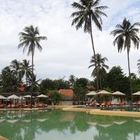 ホテルのプールは広々してます。