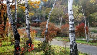 遊歩道から温泉が川となって流れている様子が見れる
