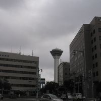 五稜郭タワー（真ん中）が見える