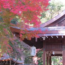 梨木神社の境内。紅葉が色づいてきました。