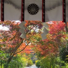 梨木神社の境内。紅葉が綺麗です。 