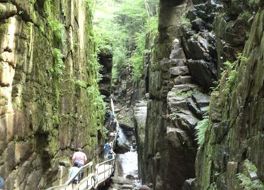 Flume Gorge