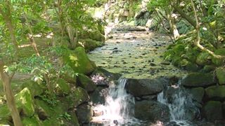 黄門橋付近の川の流れが大変良い