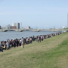 2011.5　信濃川感謝祭やすらぎ堤川まつり　後方に萬代橋