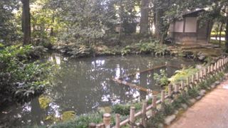 この沈砂地で砂を落とすだそうです。