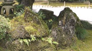 兼六園三名石に数えられる兼六園を守る魔 除けの石なんだそうです