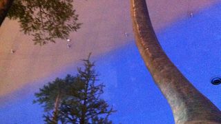 夏休みの体験にぴったり！