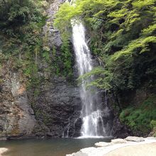 箕面大滝