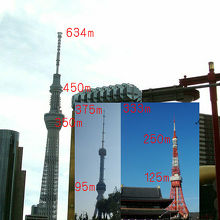 東京スカイツリー（左）と東京タワー（右）との高さ比較