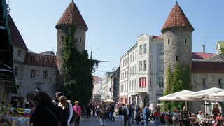 門の内と外を比べてみて！