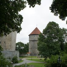 周辺は緑がいっぱい