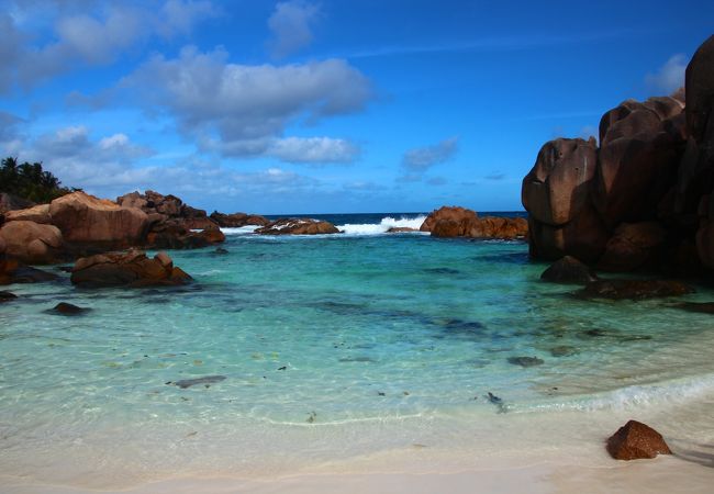 アンス・ココス