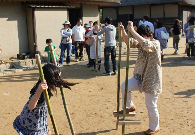 国営ひたち海浜公園 クチコミ アクセス 営業時間 ひたちなか フォートラベル 国営ひたち海浜公園 クチコミ アクセス 営業時間 ひたちなか フォートラベル