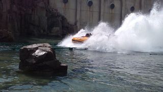 面白かったです