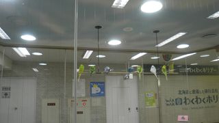 小鳥の広場がある