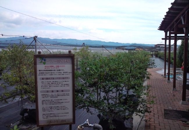福岡県のフルーツ狩り クチコミ人気ランキングtop4 フォートラベル 福岡県のフルーツ狩り クチコミ人気ランキングtop4 フォートラベル
