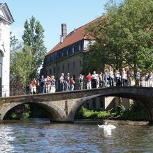 ボートからの眺め
