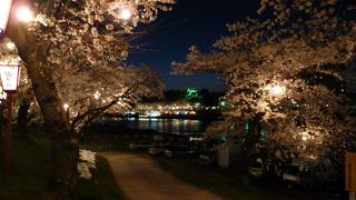 満開の桜☆