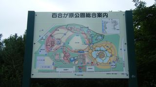 お花たくさん☆