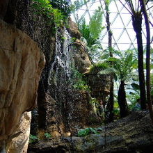 熱帯植物ドーム 岩山から流れる滝は落差15m