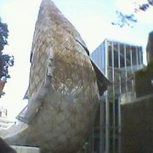 滝登りを思わせるようなポーズです。