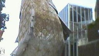 神戸港の活きのよさそうな巨大魚オブジェ