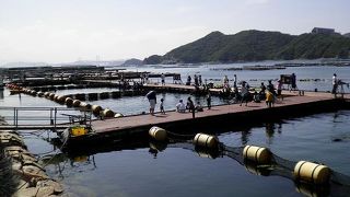 ペットと共にBBQ・・・