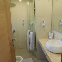 シャンプー、バスタブ無し