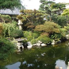 日本庭園「円空庭」