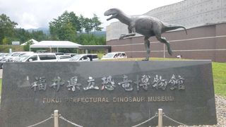 迫力満点、恐竜博物館！大人も子供も楽しめます。