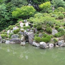 智積院の庭園です。こちらもこの日は無料で入れます。