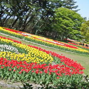 寺尾中央公園 クチコミ アクセス 営業時間 新潟市 フォートラベル 寺尾中央公園 クチコミ アクセス 営業時間 新潟市 フォートラベル