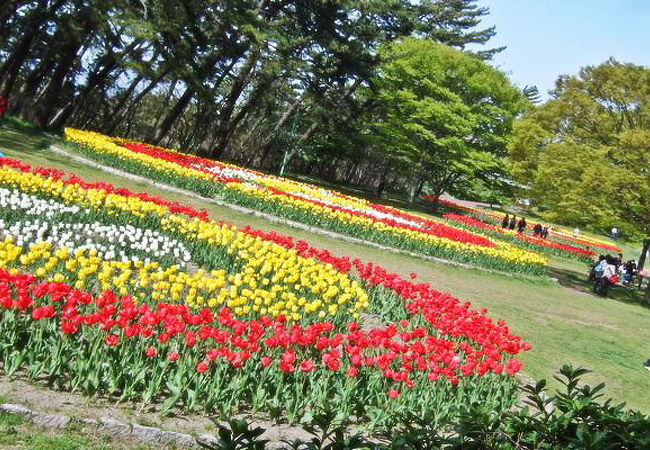 寺尾中央公園