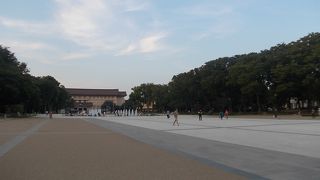 広くて散歩や観光に便利