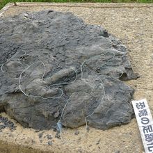 前面駐車場にある恐竜の足跡化石