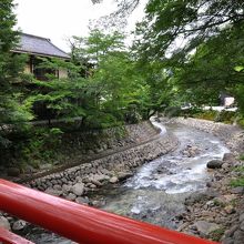 桂川を眺めながらの散策もいい雰囲気…