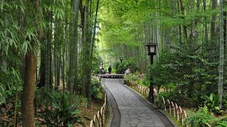 距離は短いが、雰囲気はとても良い