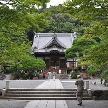 広い、立派な境内の中に素敵に佇む本堂