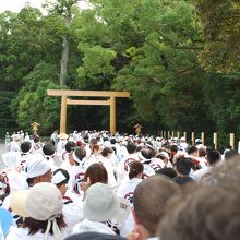 鳥居をくぐる奉献団