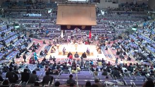 大相撲で観戦に訪れました