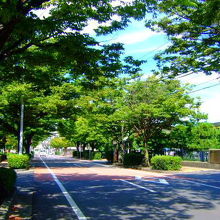 2010.9.15　左奥が公園　右奥が市美術館