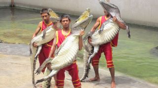 トラと記念撮影