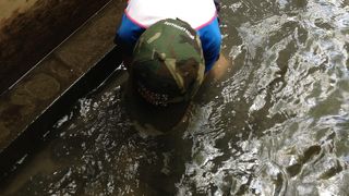 夏の水遊びの定番！