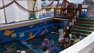 動物と触れ合える小さな水族館