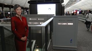 料理を盛り付けてくれます♪