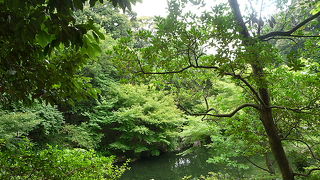 美しい水と花の庭園、無料開放日もあるよ